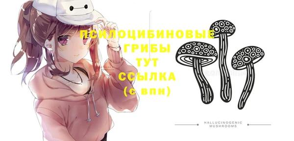 таблы Медногорск