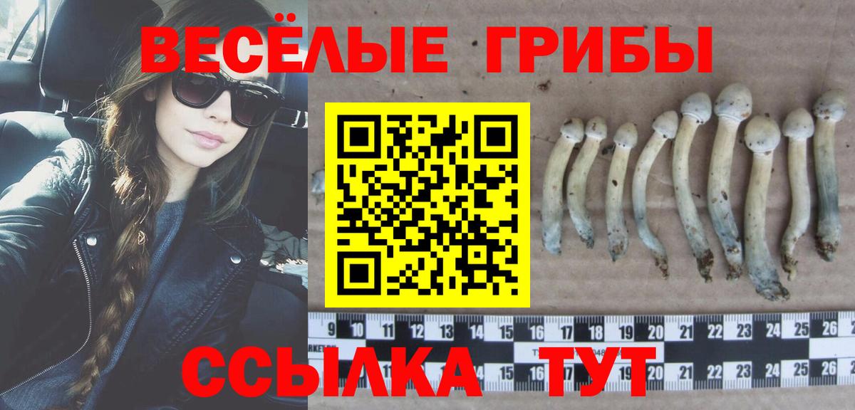Галлюциногенные грибы Magic Shrooms  Вход с VPN  Мирный  Галлюциногенные грибы Magic Shrooms 